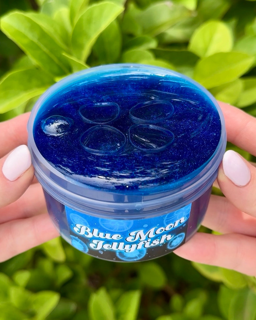 Blue Moon Jellyfish