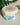 Cereal Milk