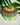 Potting Soil