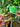 Gardening x Potting Soil Duo